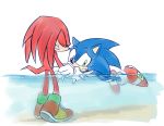  anthro arm_grab blue_fur bodily_fluids clenched_teeth clothing den255 duo echidna eulipotyphlan eyes_closed footwear fur gloves green_eyes handwear hedgehog knuckles_the_echidna male mammal monotreme red_fur sand scared shoes simple_background sonic_(series) sonic_the_hedgehog sweat swimming teaching teeth water white_background 