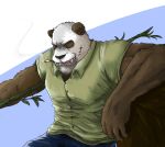  anthro bamboo beastars black_fur black_nose bottomwear cigarette clothed clothing fur giant_panda gouhin hi_res male mammal multicolored_fur muscular muscular_male scar solo topwear two_tone_fur ursid warr white_fur 