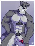  2019 abs absurd_res anthro balls biceps canid canine canis chest_tuft erection hi_res humanoid_penis looking_at_viewer male mammal muscular muscular_male nude pecs penis pubes simple_background smile solo tehbluebubble tuft wolf 