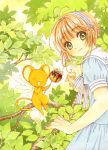  card_captor_sakura clamp kerberos kinomoto_sakura tagme 