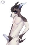  2019 absurd_res anthro blue_eyes canid canine canis codyblue-731 digital_media_(artwork) domestic_dog hi_res humanoid_penis looking_at_viewer male mammal penis solo 