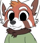  a-signature ailurid clothing hi_res mammal red_panda rose_(briskby) 