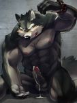  2015 abs anthro athletic balls bdsm biceps big_muscles bodily_fluids bondage bound canid canine canis claws colored cum cum_on_balls cum_on_ground cum_on_penis cum_string dripping edit erection fangs fur genital_fluids grey_fur humanoid_penis leaking looking_at_viewer male mammal manly matotoma muscular muscular_male nipples nude open_mouth orgasm pecs penis pubes shackles sharp_claws sharp_teeth sitting solo submissive submissive_male summarizes sweat teeth tongue uncensored vein veiny_penis wolf 