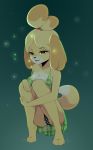  2019 animal_crossing anthro blonde_hair breasts canid canine canis cleavage clothed clothing coffeechicken digital_media_(artwork) dipstick_tail domestic_dog female hair hi_res isabelle_(animal_crossing) mammal multicolored_tail nintendo open_mouth panties shih_tzu solo toy_dog underwear video_games yellow_body 