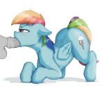  2019 ambiguous_gender balls cutie_mark disembodied_penis duo equid equine feral friendship_is_magic male male/ambiguous mammal my_little_pony oral penis pterippus rainbow_dash_(mlp) sex simple_background solo_focus spectre_z white_background wings 