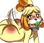  animal_crossing anthro ball ball_gag bell big_butt blush bodily_fluids butt canid canine canis collar domestic_dog english_text female fur gag hair hi_res isabelle_(animal_crossing) isolatedartest_(artist) looking_at_viewer lying mammal nintendo nude saliva shih_tzu simple_background solo spank_marks submissive tailwag tennis_ball text thick_thighs toy_dog video_games white_background wide_hips yellow_fur 