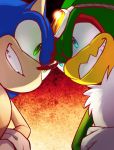  accipitrid accipitriform anthro avian bird blue_eyes blue_fur clothing den255 duo eulipotyphlan eye_contact eyewear feathers fur gloves goggles green_eyes green_feathers grin handwear hedgehog hi_res jet_the_hawk looking_at_another male mammal smile sonic_(series) sonic_riders sonic_the_hedgehog 