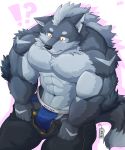  2018 abs anthro biceps big_muscles bottomwear bulge canid canine canis clothed clothing fur hi_res jockstrap male mammal muscular muscular_male naruever open_pants pants pecs simple_background solo topless underwear undressing wolf zack_(naruever) 