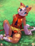  anthro blue_eyes camel_toe clothed clothing dappled_light domestic_cat felid feline felis female fully_clothed furboz grass light looking_at_viewer mammal on_ground panties pussy scarf shade sitting solo sunlight the_great_warrior_wall underwear xi_yue 