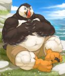  alcid anthro avian beak belly better_version_at_source bird black_feathers cinna-tree clothed clothing detailed_background feathers hi_res lari male musclegut muscular muscular_male navel outside overweight overweight_male puffin sitting smile solo talons thick_thighs topless water white_feathers wings 