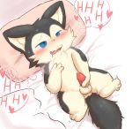  &lt;3 2019 animal_genitalia balls bed blue_eyes blush bodily_fluids canid canine cub cute_fangs drooling hi_res lying male mammal masturbation namoke nude on_back open_mouth penis pillow saliva slightly_chubby solo sweat young 