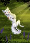  blue_eyes canid canine female feral fox fur grass heterochromia hi_res looking_at_viewer lying mammal on_back rukifox solo white_fur yellow_eyes 
