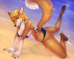  2019 4_toes 5:4 5_fingers anthro beach bikini blonde_hair canid canine clothed clothing day detailed_background digital_media_(artwork) eyebrows eyelashes female fingers fox fur green_eyes hair looking_at_viewer mammal monian orange_fur outside sand seaside shoreline smile solo swimwear toes water 