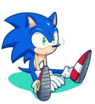  alpha_channel anthro arthropod blue_fur butterfly clothing den255 duo eulipotyphlan feral footwear fur gloves green_eyes handwear hedgehog insect lepidopteran male mammal shoes simple_background sitting sonic_(series) sonic_the_hedgehog transparent_background 