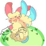  &gt;_&lt; 1:1 better_version_at_source blue_fur blush bodily_fluids casseroleafy cum cum_drip cum_in_pussy cum_inside dripping duo female feral feral_on_feral fur genital_fluids grass hi_res long_ears male male/female minun motion_lines nintendo open_mouth penis plusle pok&eacute;mon pok&eacute;mon_(species) pussy pussy_juice red_fur saliva shaking snout spread_legs spreading tan_fur tears tongue trembling vaginal video_games 