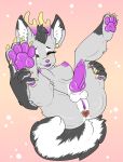  2019 absurd_res anthro antlers anus balls beans big_breasts blush breasts butt canid canine canis cervid claws digital_media_(artwork) domestic_dog ear_piercing ear_ring erection fem fluffy fluffy_tail fur grimix hair herm hi_res horn husky intersex invalid_color knot mammal nipples nordic_sled_dog nude open_mouth paws penis piercing pussy sex sex_toy simple_background slightly_chubby smile solo spitz thick_thighs tongue tuft 