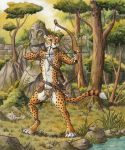  0laffson 2019 4_toes 5_fingers arrow barefoot brown_eyes cheetah day detailed_background digitigrade felid feline fingers forest grass hi_res holding_bow holding_object holding_weapon mammal outside sky toes traditional_media_(artwork) tree weapon 