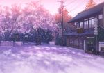  bulletin_board cherry_blossoms commentary dappled_sunlight flower highres house isou_nagi lamppost lantern no_humans petals pink plant potted_plant power_lines road_sign scenery sign sky speaker spring_(season) sunlight telephone_pole tree 