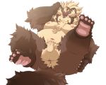 2019 5:4 anthro anus balls belly big_balls blush brown_fur butt canid canine dosanco15 fur goemon_(tas) humanoid_hands humanoid_penis lying male mammal moobs navel nipples overweight overweight_male penis raccoon_dog simple_background solo tanuki tokyo_afterschool_summoners video_games white_background 