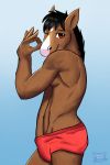  black_hair bojack_horseman bojack_horseman_(character) brown_eyes brown_fur clothed clothing equid equine facial_markings fur gesture hair hand_in_crotch head_markings hi_res horse male mammal markings marrieskunk one_eye_closed speedo swimwear topless wink 