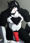  2019 absurd_res anthro balls bed belly biped black_fur canid canine canis claws elafi erection front_view fur hi_res looking_at_viewer male mammal muscular penile penis simple_background solo wolf 