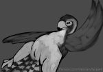  2019 avian beak bird blush falcon falconid feathers female hi_res lying on_back pussy slit solo talons visionaryserpent wings 