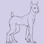  1:1 breasts canid canine canis digitigrade dobermann domestic_dog ear_piercing female feral hi_res looking_at_viewer lord_magicpants mammal multi_breast multi_nipple nipples nude piercing pinscher post_transformation small_breasts solo 