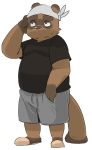  2016 anthro bottomwear brown_fur canid canine clothing fur humanoid_hands male mammal masshiro raccoon_dog shirt shorts simple_background slightly_chubby solo tanuki topwear white_background 