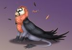  accipitrid accipitriform avian bearded_vulture bird feathers feral gryphon hi_res old_world_vulture poof shadarrius skyfifer_(character) vulture 