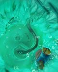  animal bad_id bad_pixiv_id boat bubble eel fish hat mario mario_(series) maw-ray oversized_animal shipwreck srrr super_mario_64 super_mario_bros. swimming underwater water watercraft 