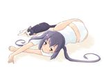  animal bad_id bad_pixiv_id black_hair blush brown_eyes cat imitating k-on! long_hair lying nakano_azusa on_side panties shirt solo t-shirt takahashi_mugi twintails underwear white_panties 