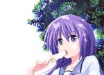  angel_beats! food irie_(angel_beats!) leaf long_hair okome_(minagisama) popsicle purple_eyes purple_hair school_uniform solo tree 