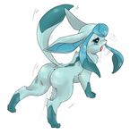  glaceon pokemon tagme 