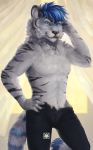  2018 absurd_res athletic biceps blue_eyes blue_hair bottomwear clothed clothing felid fur grey_fur hair hi_res macan macan_(character) male mammal muscular pantherine paws pecs sarydragon shorts simple_background smile smirk solo stripes tiger topless 