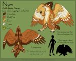  2011 4_toes 5_fingers avian biped brown_feathers canid canine digital_media_(artwork) digitigrade english_text feathered_wings feathers fingers green_background hybrid katie_hofgard mammal model_sheet nude simple_background standing text toes wings 