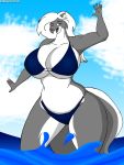  bikini cjshadorunner clothing cloud female hi_res mammal mephitid skunk sky small_head smile solo swimwear water 