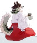  anthro bebebebebe beverage big_breasts big_butt blush breasts brown_fur brown_hair butt canid canine canis clothing cup female fur grey_fur grey_hair hair hair_over_eyes hakama happy holding_object inazuma_(toto) japanese_clothing kimono mammal open_mouth petals raised_hands rear_view sharp_teeth sitting smile solo steam teeth white_fur wolf 