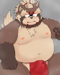  2019 absurd_res anthro belly blush bodily_fluids brown_fur bulge canid canine clothing cum ekubo fundoshi fur genital_fluids goemon_(tas) hi_res humanoid_hands japanese_clothing male mammal moobs navel nipples overweight overweight_male raccoon_dog simple_background solo sweat tanuki tokyo_afterschool_summoners underwear video_games 