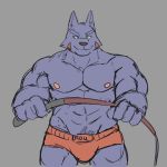  1:1 abs absurd_res anthro bulge canid canine canis clothed clothing digital_media_(artwork) domestic_dog grey_background half-length_portrait hi_res holding_object male mammal muscular nipples portrait radcanine simple_background solo topless underwear whip 