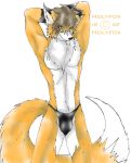  2007 canid canine clothing fox holyfox looking_at_viewer male mammal navel randomdragon simple_background solo underwear white_background yellow_eyes 