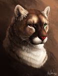  2016 ambiguous_gender anchee brown_fur bust_portrait cougar facial_markings felid feline feral fluffy fur green_eyes head_markings headshot_portrait heterochromia hi_res inner_ear_fluff mammal markings orange_eyes portrait scar simple_background skan_drake solo tear_(marking) whiskers white_fur 