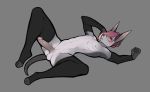 2019 4_toes 5_fingers abs anthro balls canid canine canis digital_media_(artwork) doig domestic_dog fingers grey_background hair humanoid_penis lying male mammal ni70 on_back penis pink_hair simple_background solo toes 