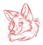  ambiguous_gender canid canine fox justautumn low_res mammal signature simple_background sketch smile solo whiskers white_background 