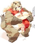  2019 anthro balls belly brown_fur canid canine clothing erection eyes_closed fundoshi fur goemon_(tas) hi_res humanoid_hands humanoid_penis japanese_clothing male mammal moobs nipples overweight overweight_male penis raccoon_dog sigenoya simple_background takotyutyu tanuki tokyo_afterschool_summoners tongue tongue_out underwear video_games white_background 