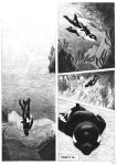 anthro cetacean comic delphinoid dialogue english_text male mammal marine nude oceanic_dolphin orca plant scale_(artist) solo text toothed_whale underwater water 