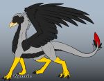 ambiguous_gender anthro beak black_feathers black_scales brown_eyes dragon feathers feet feral gradient_background grey_body grey_mane justin mane scales simple_background solo wings wyndbain 