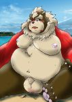  2019 absurd_res anthro balls belly big_balls blush brown_fur canid canine flaccid fur goemon_(tas) hi_res magatsuhinokami male mammal moobs nipples outside overweight overweight_male penis raccoon_dog solo tanuki tokyo_afterschool_summoners video_games 