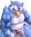  2019 anthro balls black_nose blue_fur blush bodily_fluids canid canine canis censor_bar censored fur humanoid_penis male mammal nipples nude open_mouth orange_eyes penis simple_background slightly_chubby solo sweat tongue tongue_out toraya_inugami white_background white_fur wolf 