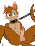  anothersonicsmutartist anus balls collar erection fan_character humanoid_penis leash male mammal mouse murid murine penis rodent sonic_(series) tagme 