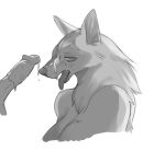  2019 anthro bodily_fluids breasts canid canine canis cum cum_on_face digital_media_(artwork) disembodied_penis duo erection female fur genital_fluids hi_res humanoid_penis koncon male male/female mammal open_mouth penis simple_background solo_focus tongue tongue_out white_background 